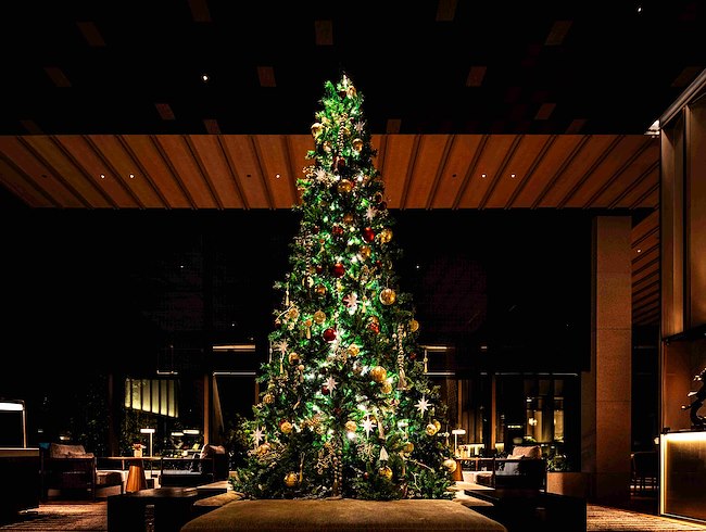 Christmas Tree Lighting Ceremony